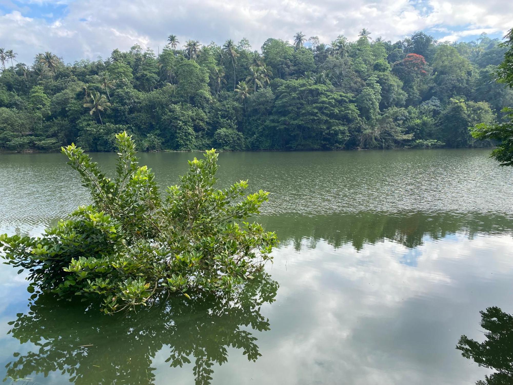 Rivers Edge Nature Resort