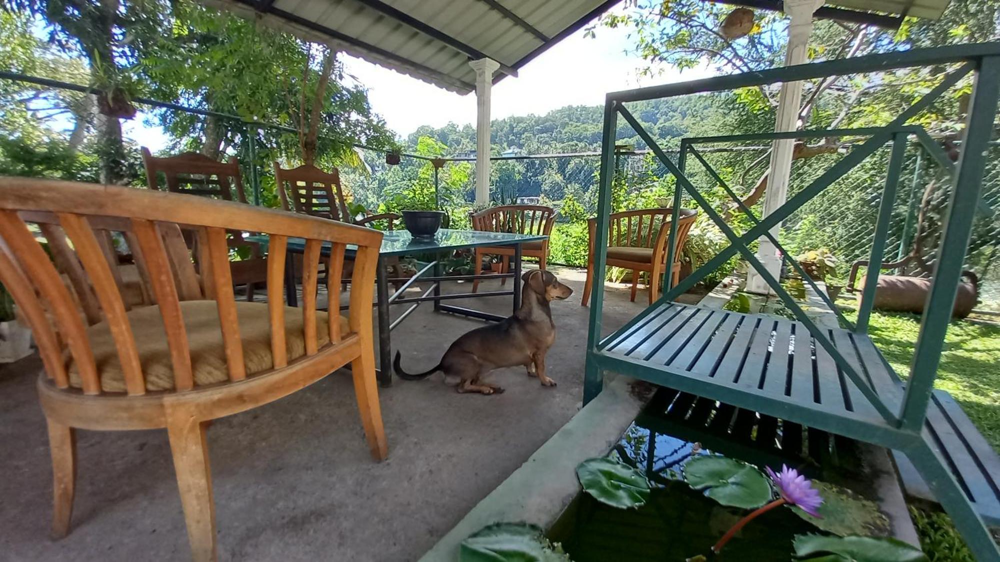 Mahaweli Shades Guest house 2*