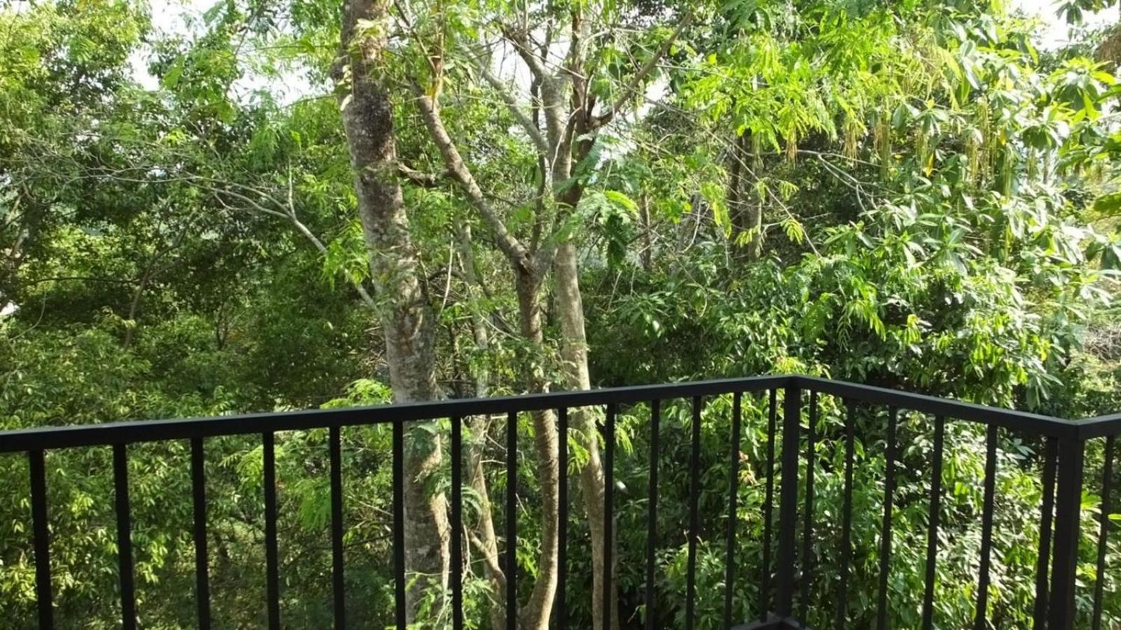 Guest house Arunalu Kandy