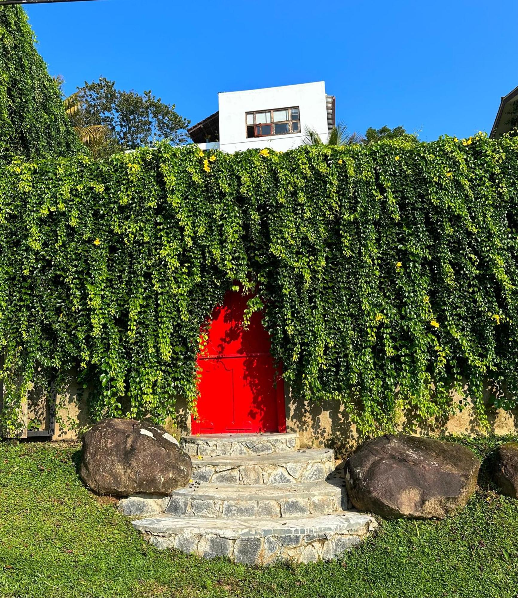 Goddess Bed & Breakfast
