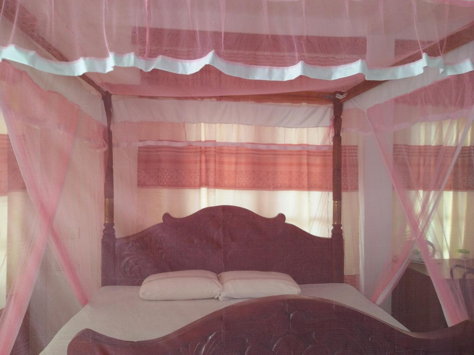 Homestay Old Town *