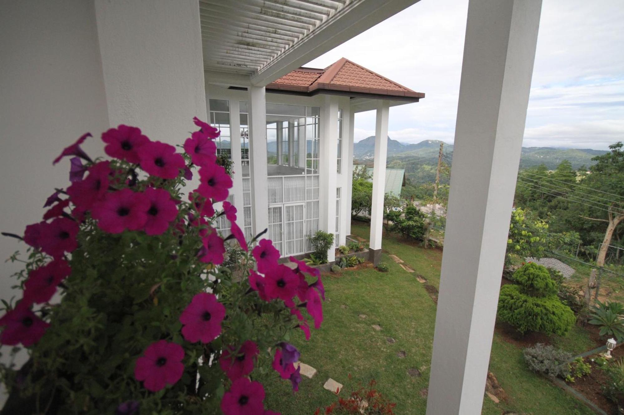 Homestay The Grove