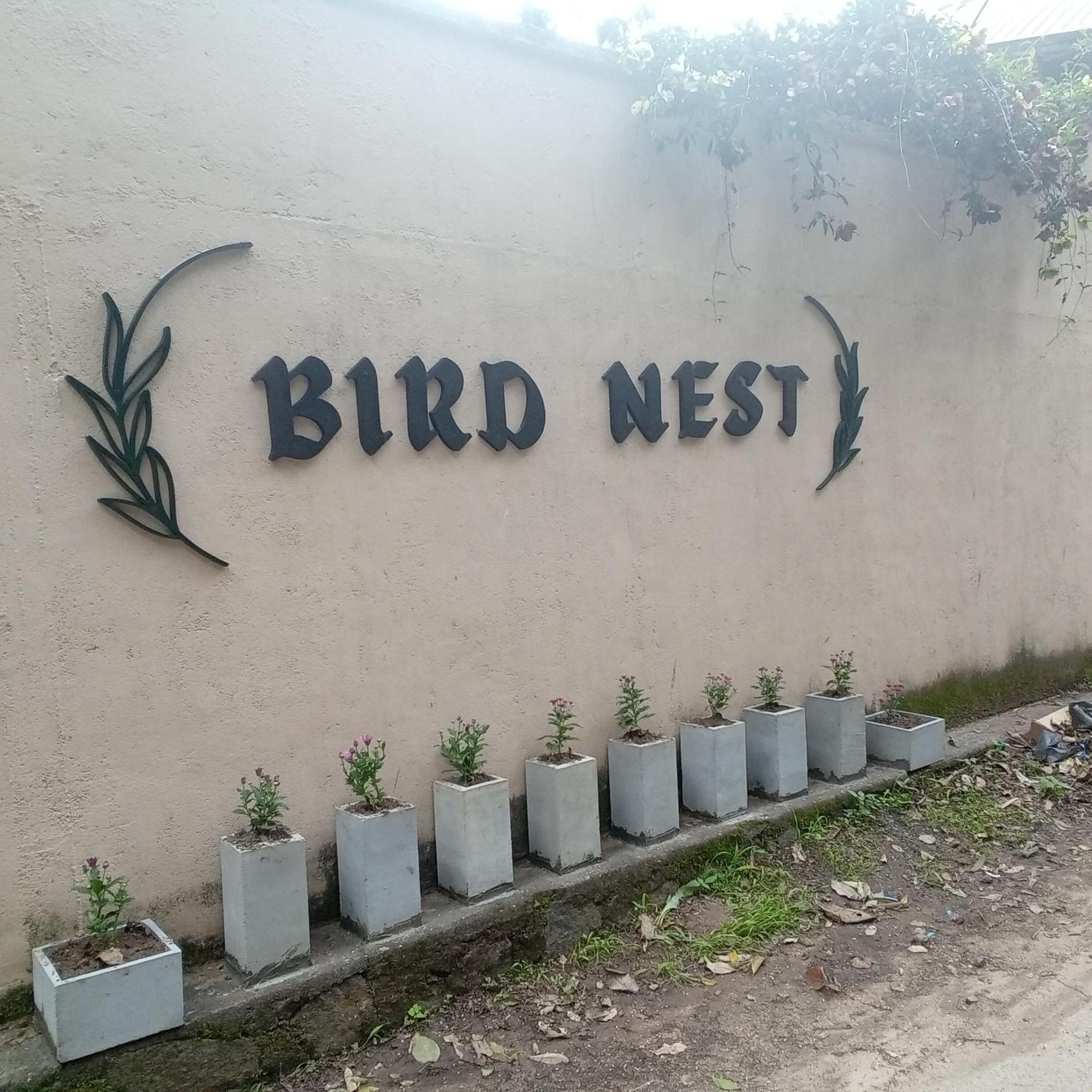 Bird Nest - Hanthana * Kandy