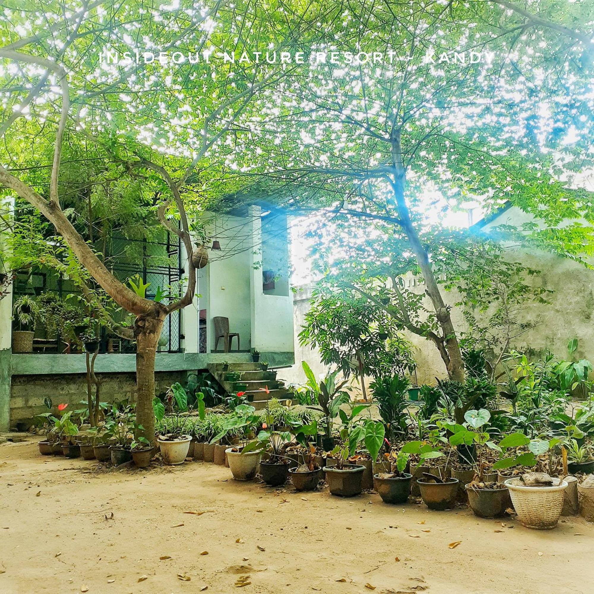 Inside Out Nature Homestay *