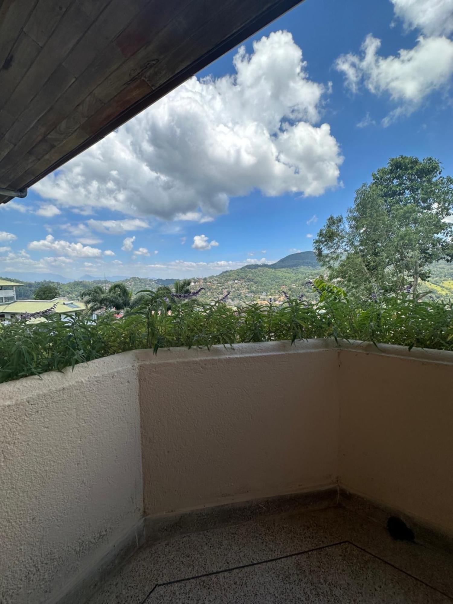 Homestay The Views - 360 Mountain View
