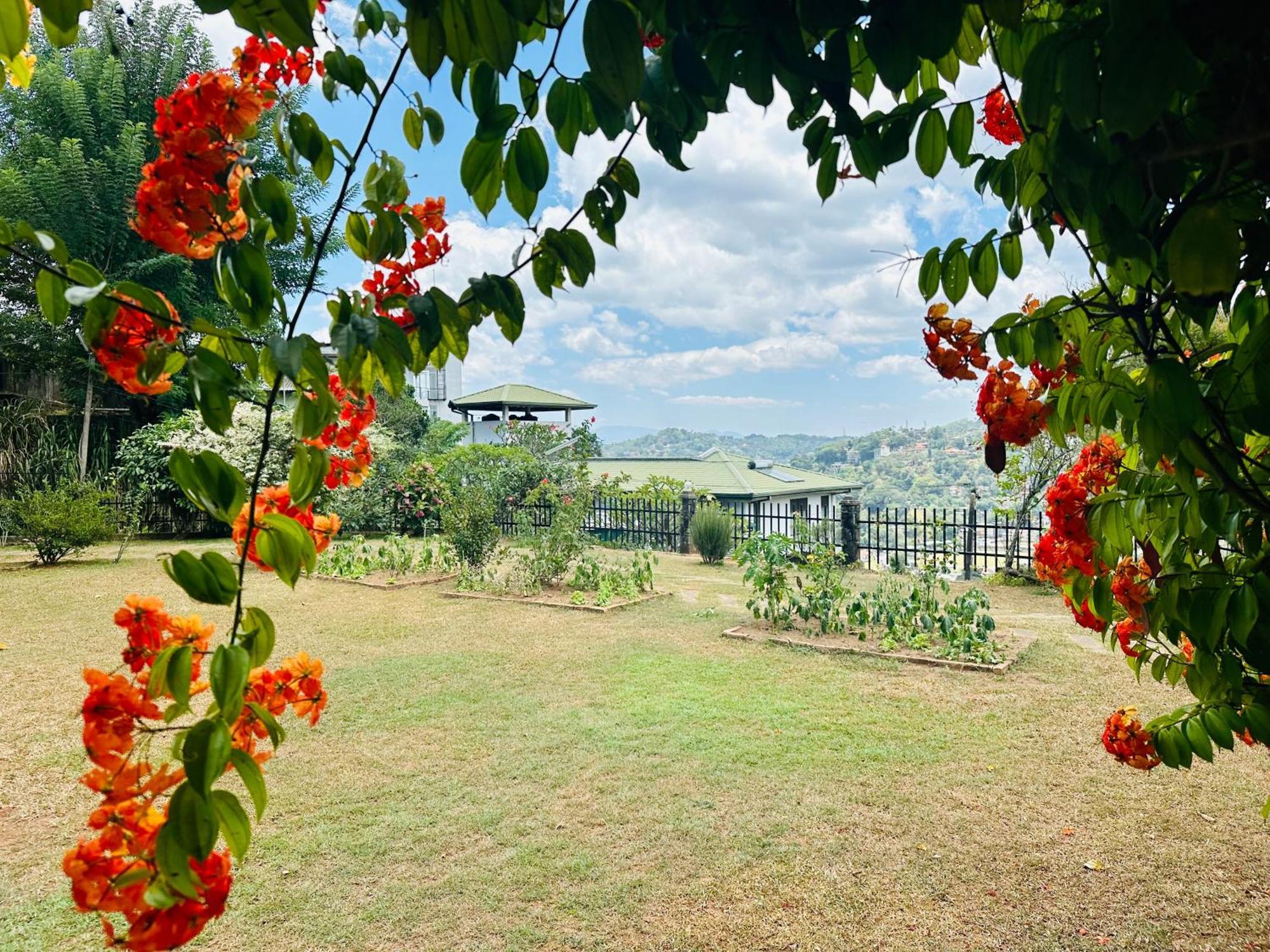 The Views - 360 Mountain View Homestay Kandy