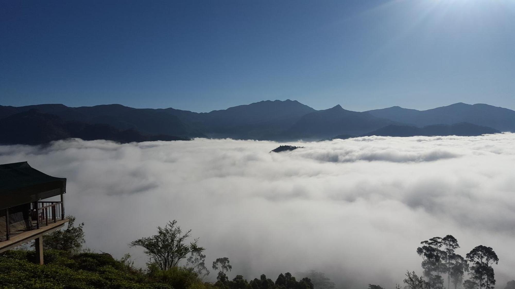 Madulkelle Tea And Eco Resort