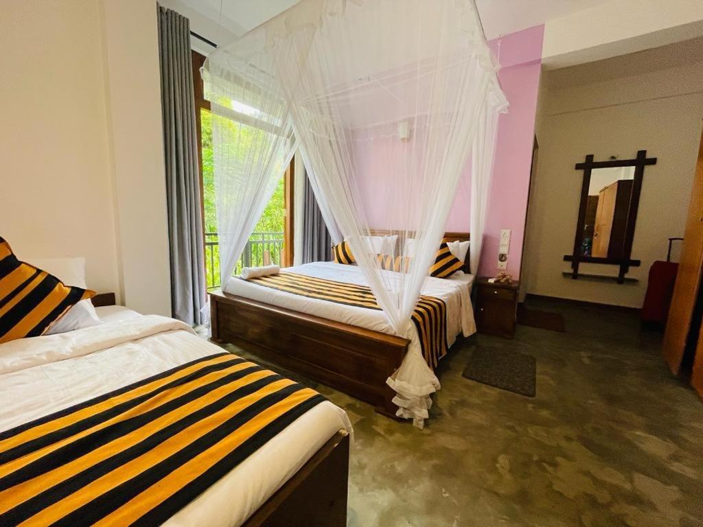 Hermitage Guest house *