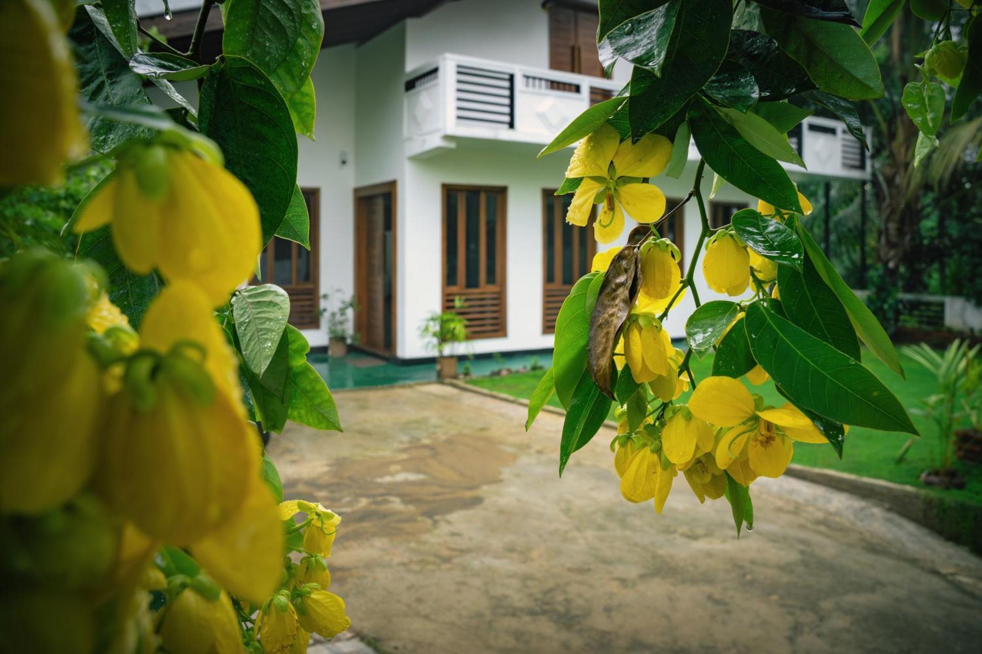Sierra Mount Bed & Breakfast *