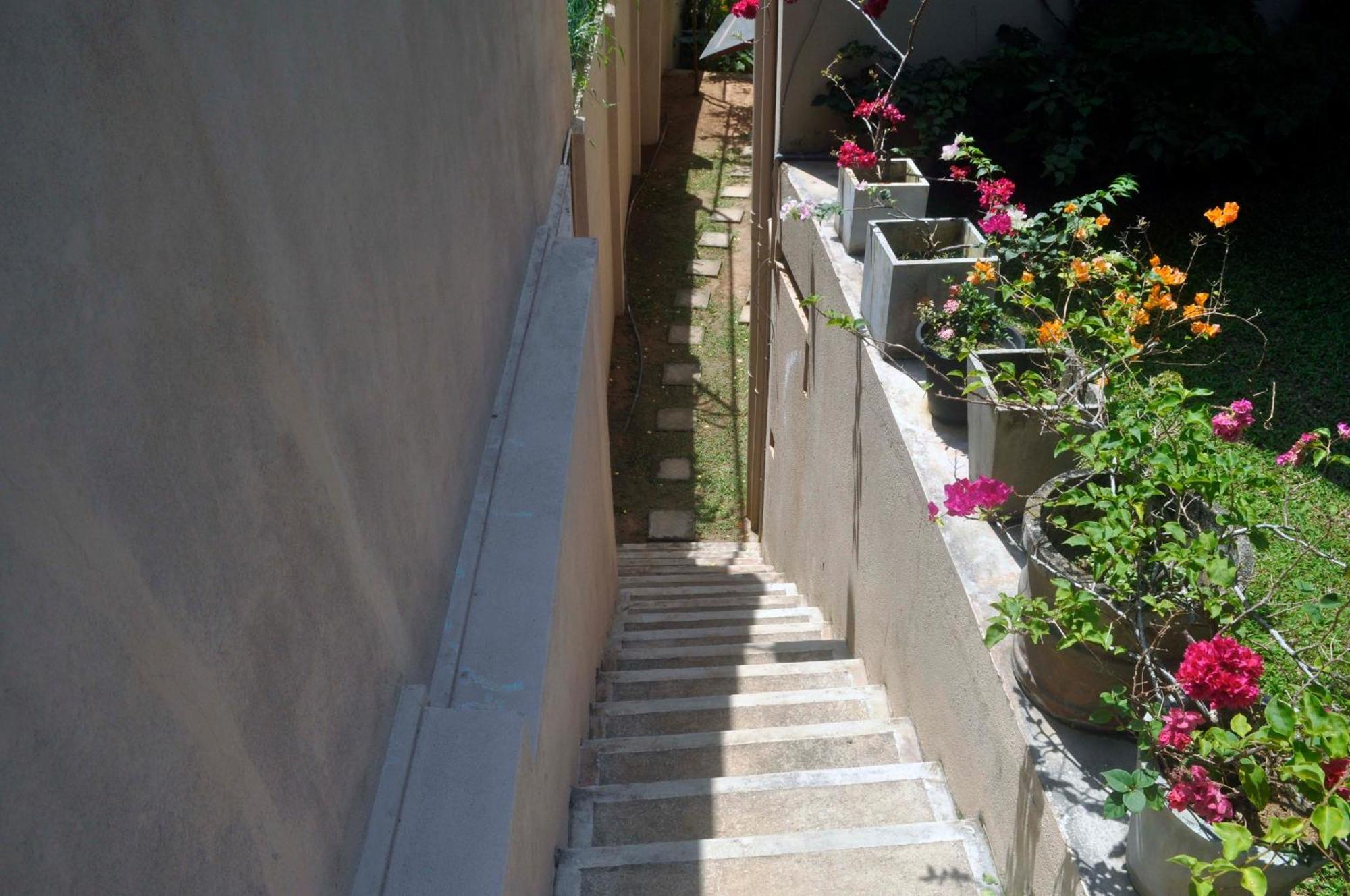 Homestay Serendipity