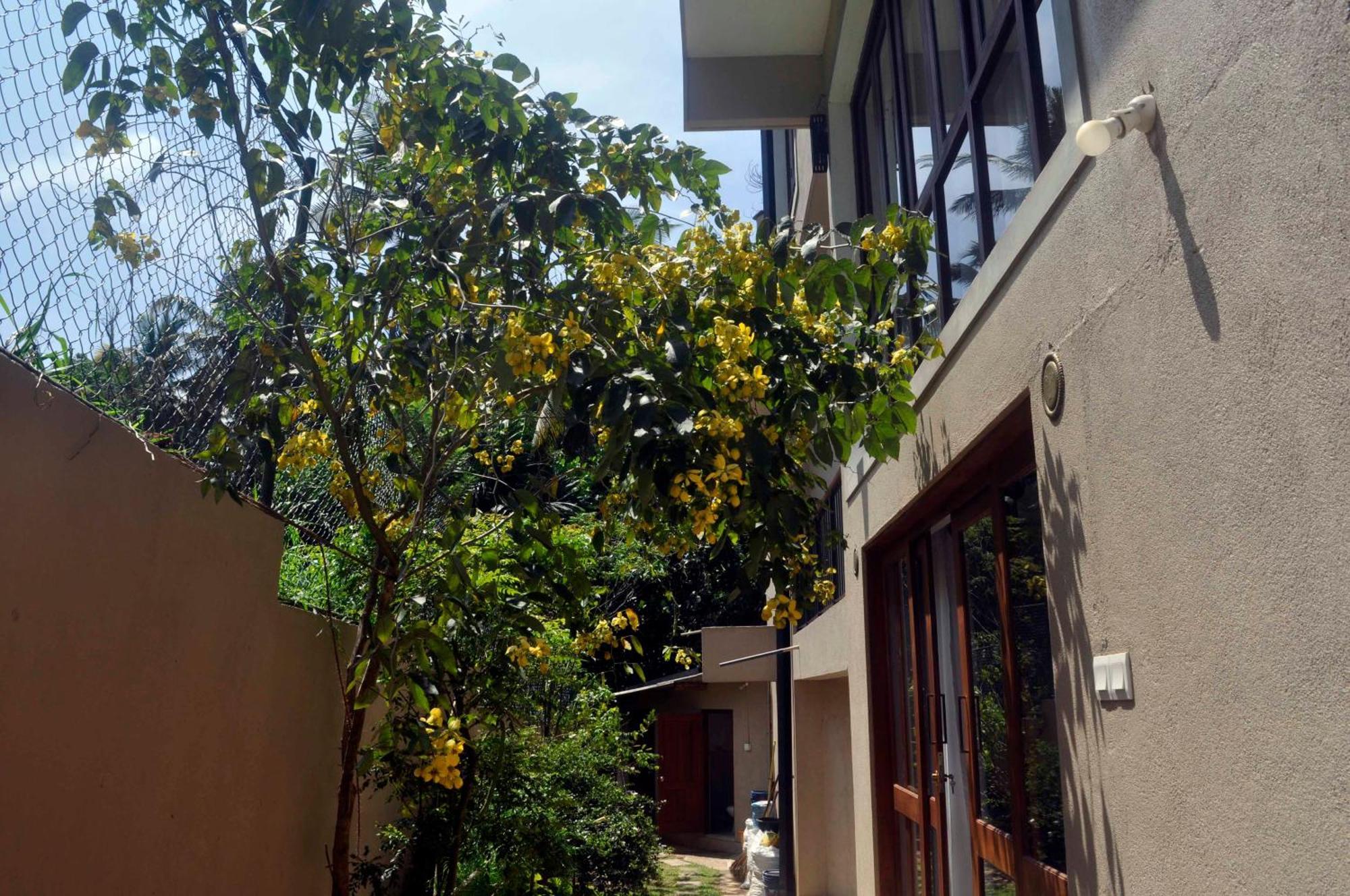 Serendipity Homestay Kandy