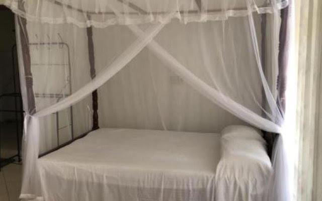 Jinendhi Garden Homestay *