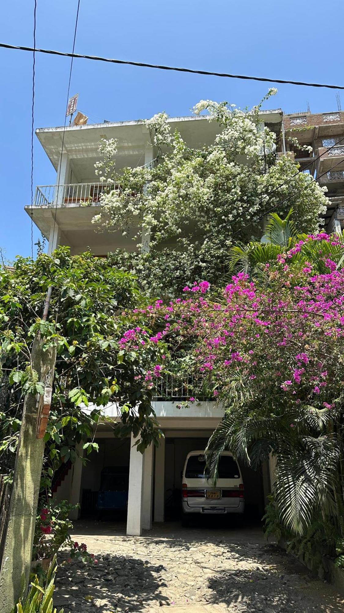 Homestay Old Town Kandy