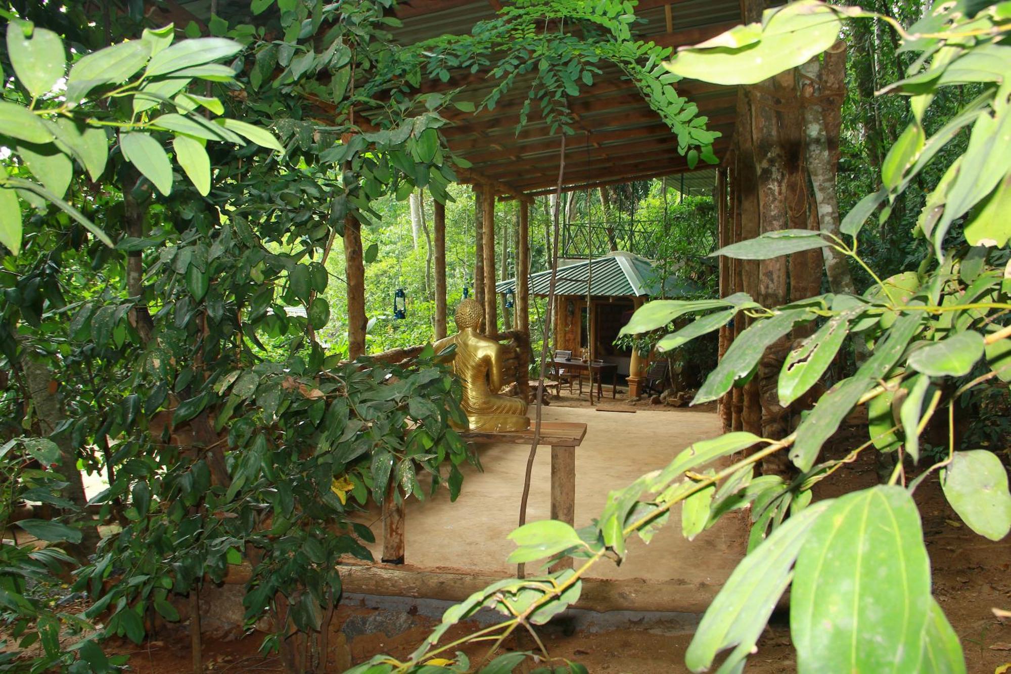Eco Retreat