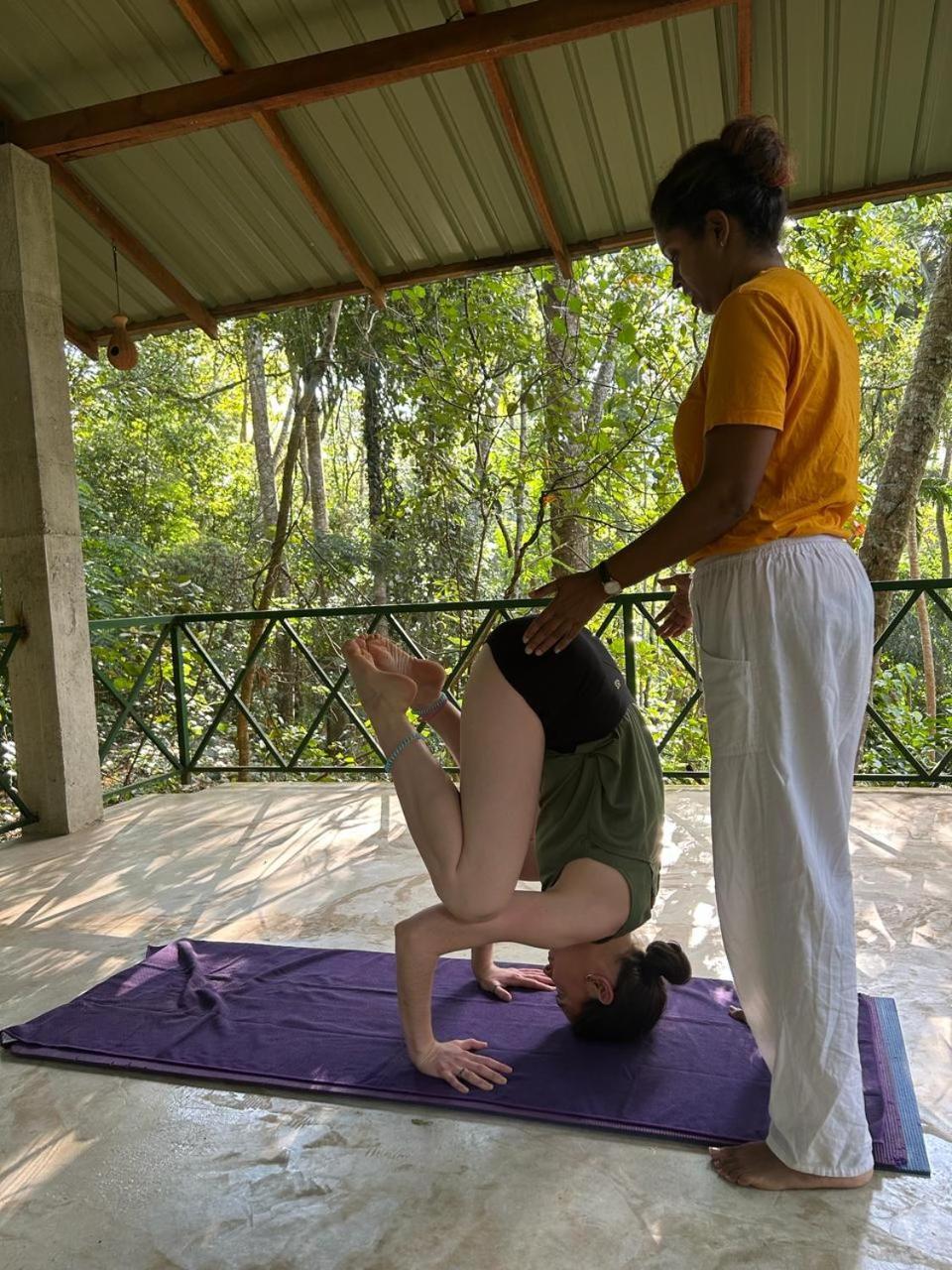 Eco Retreat Guest house