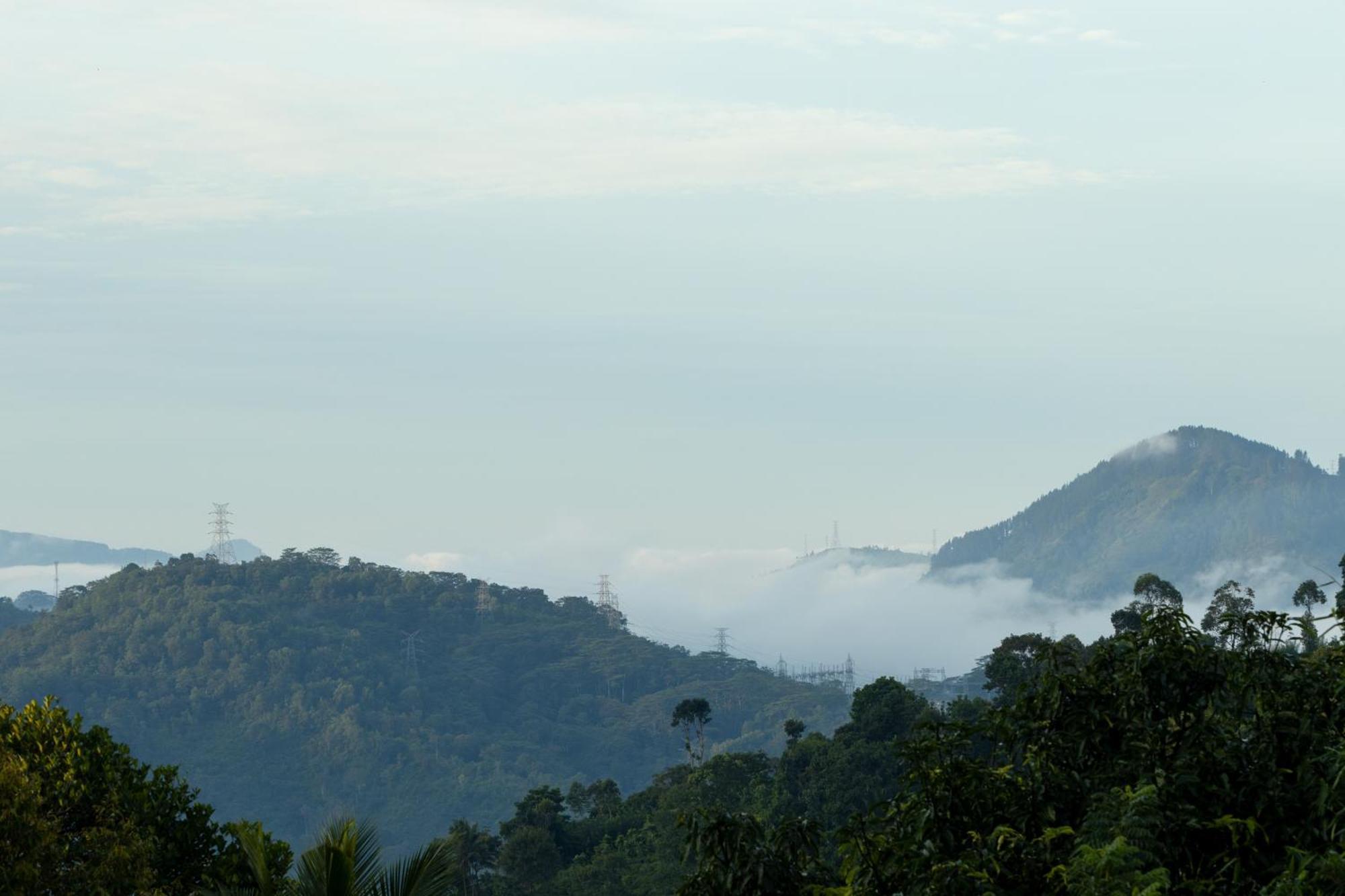 Mount Havana