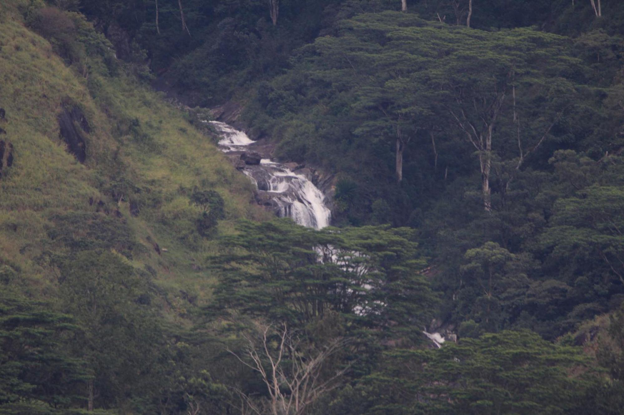 Rohana Estate & Homestay