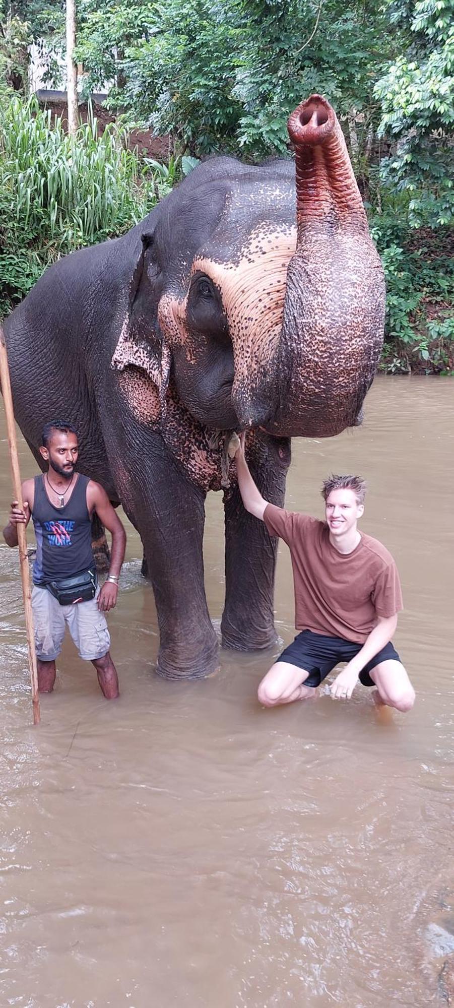 Ayubowan * Kandy