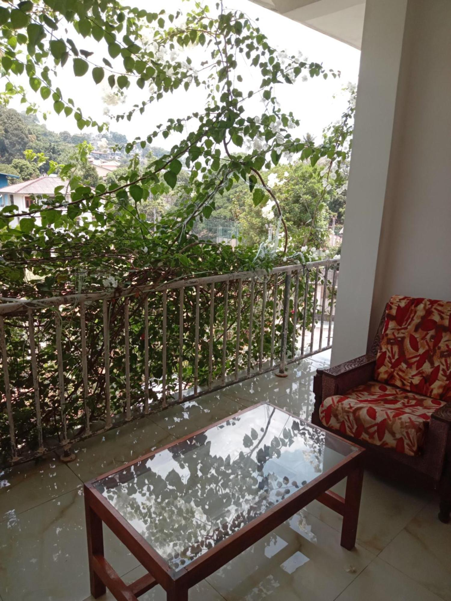 Homestay Old Town *