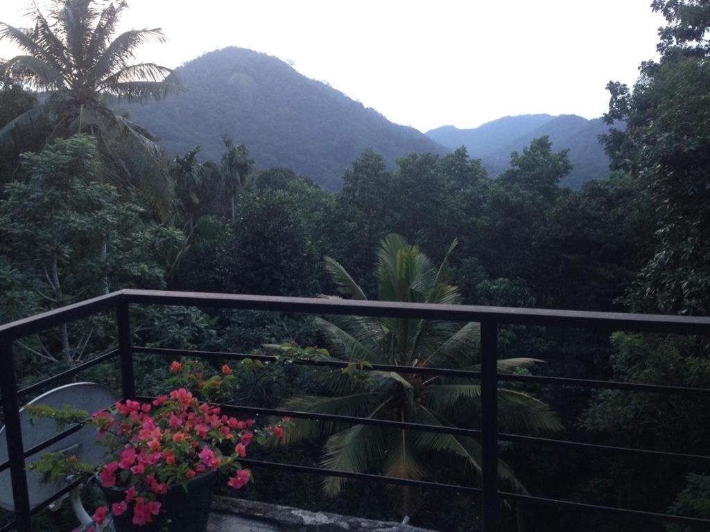 Araliya Kandy