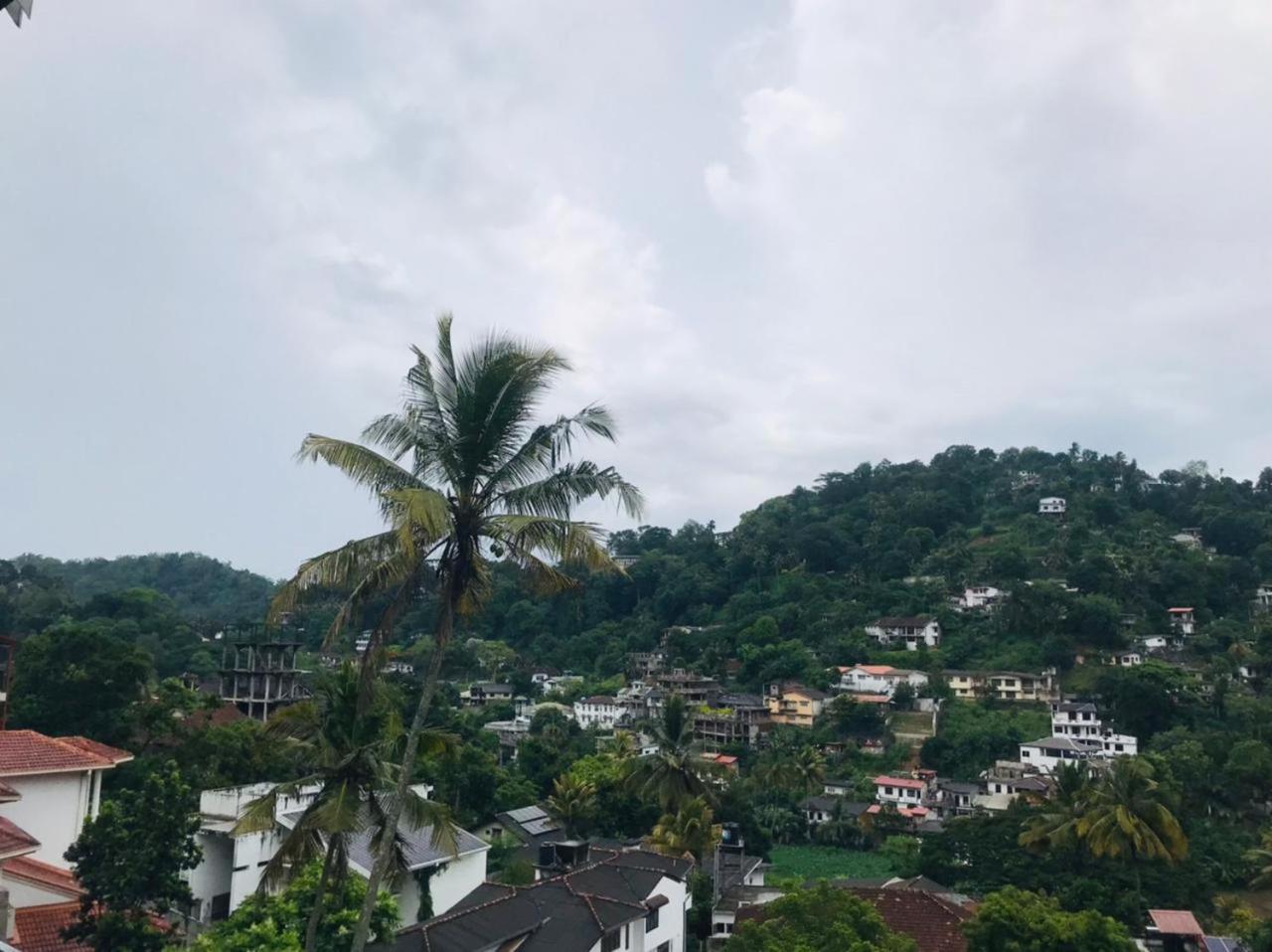 Lake Edge * Kandy