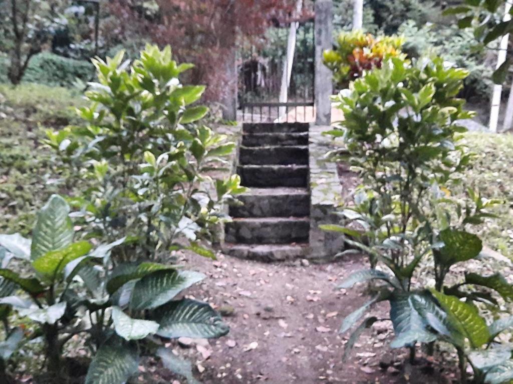 Lake Edge Guest house