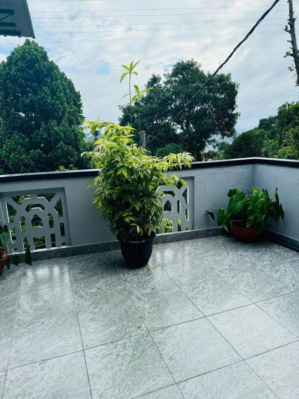 Homestay La Isla *