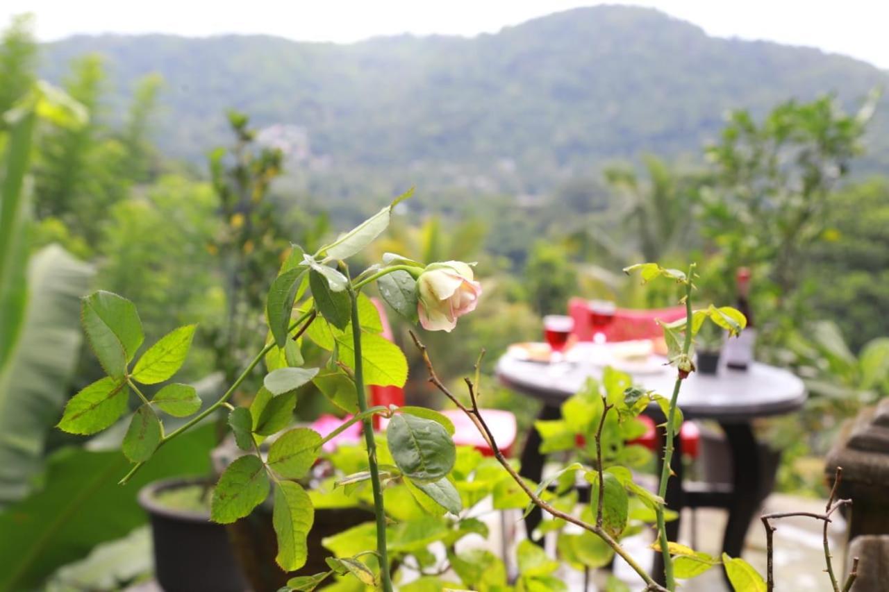 Guest house Peradeniya Green Mount *