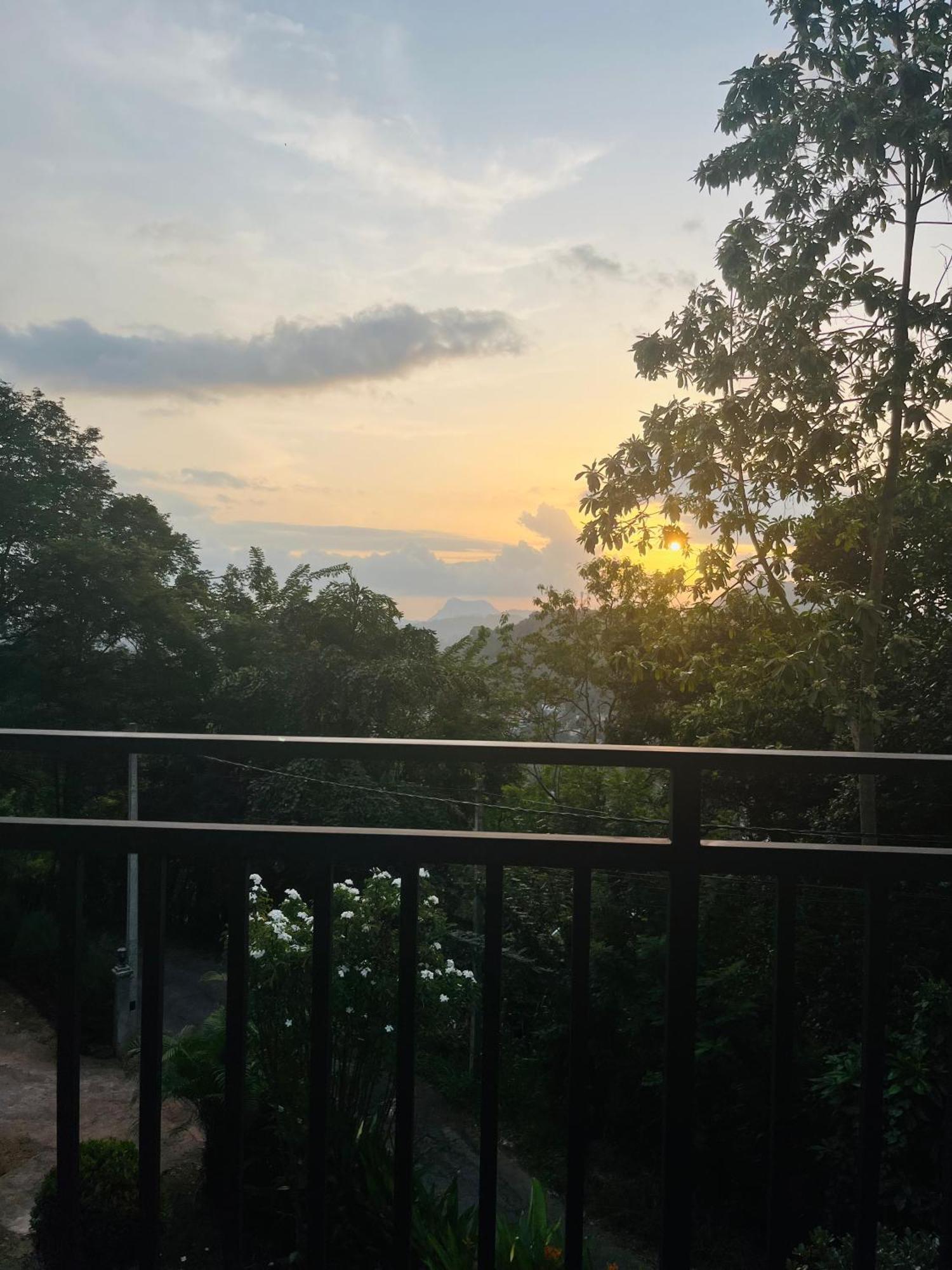 Guest house Hill