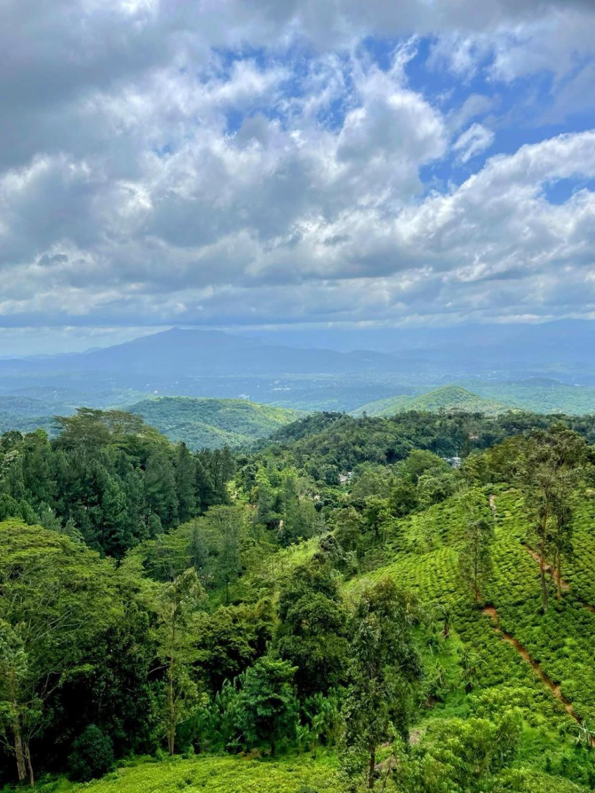 Hotel Bellwood Hills &