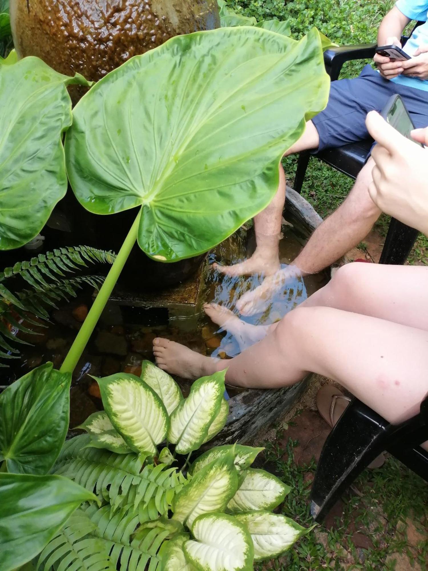 Homestay Inside Out Nature
