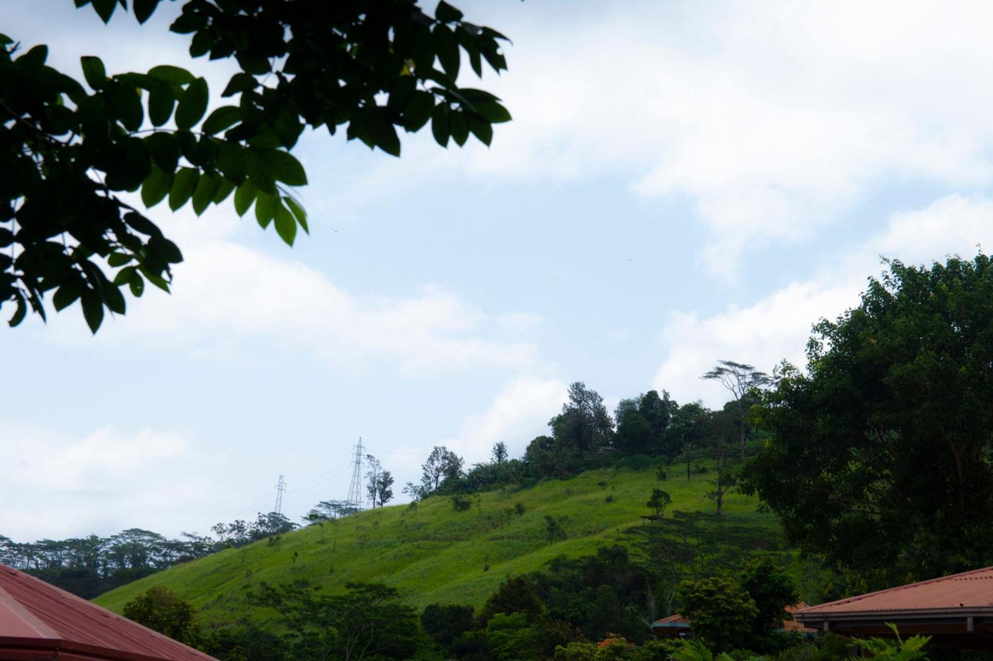 Peaceful Peak * Kandy