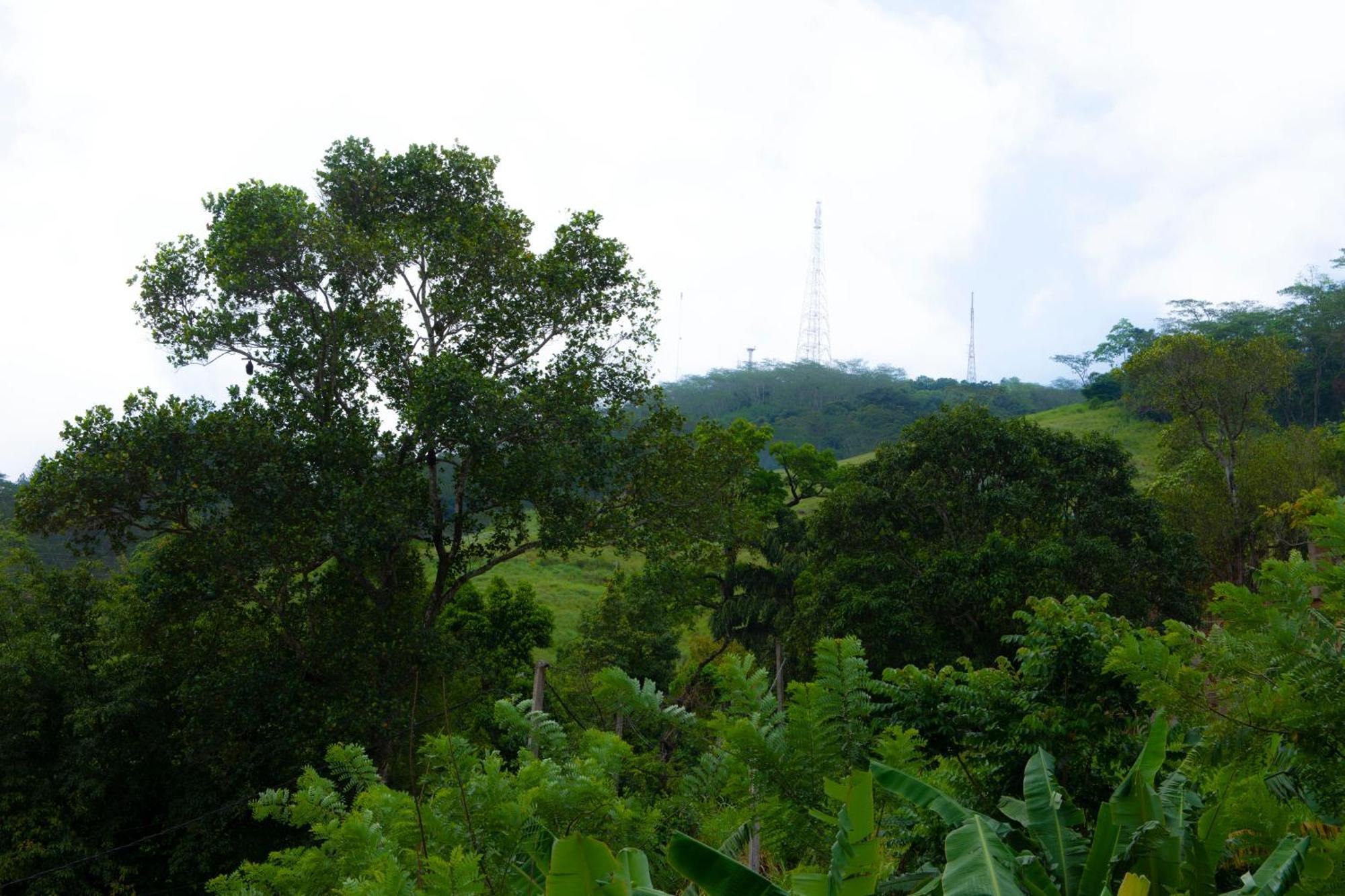 Peaceful Peak Guest house