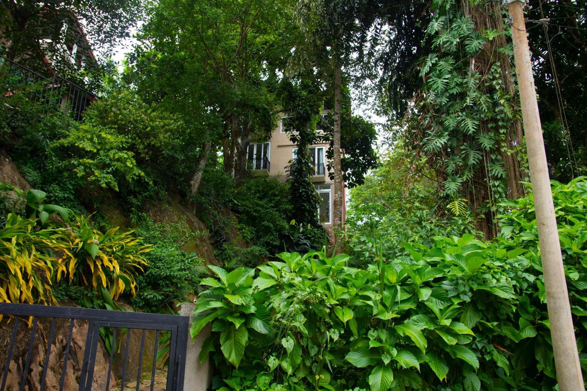 Peaceful Peak Guest house *