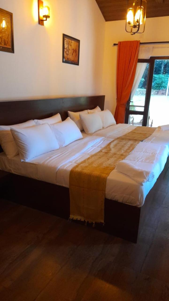 Hotel D55