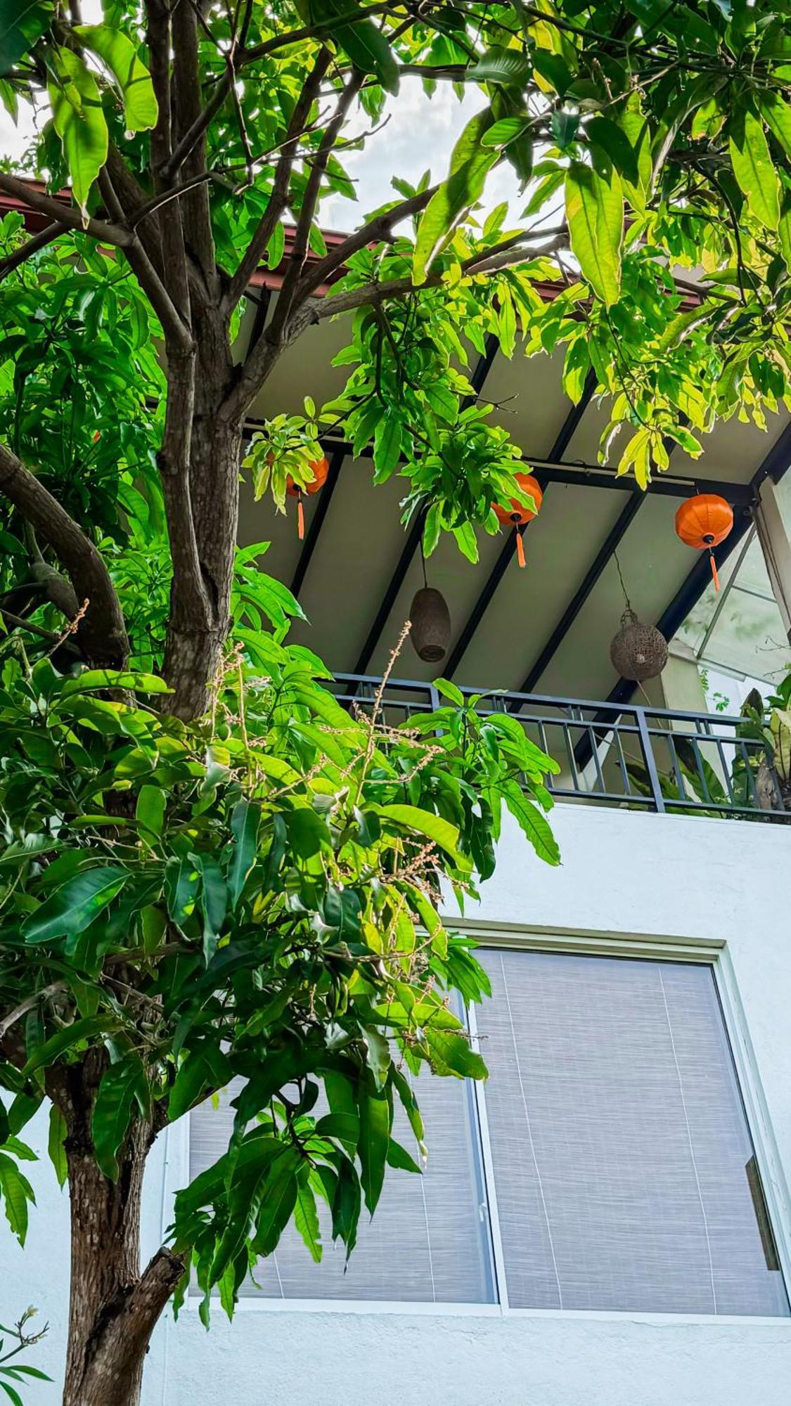 Vietnam House 3* Kandy