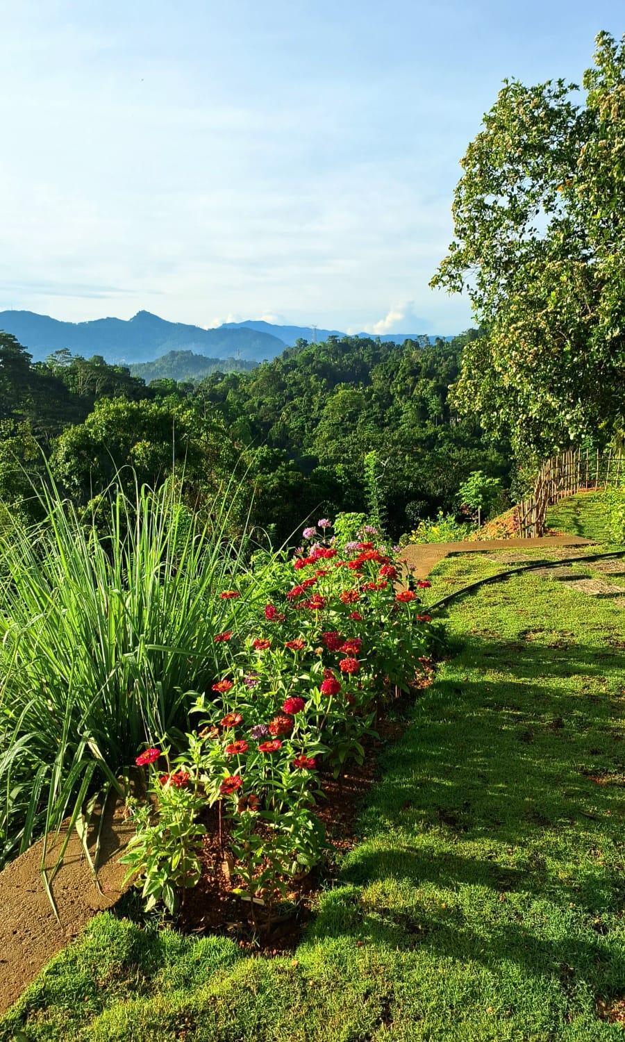 Kobbekaduwa * Kandy