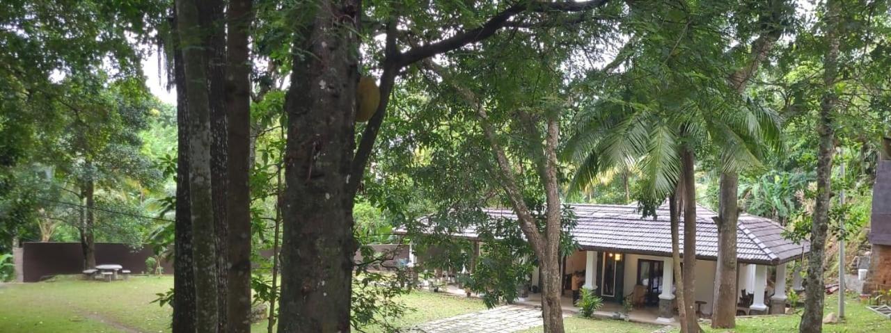D55 Hotel Kandy