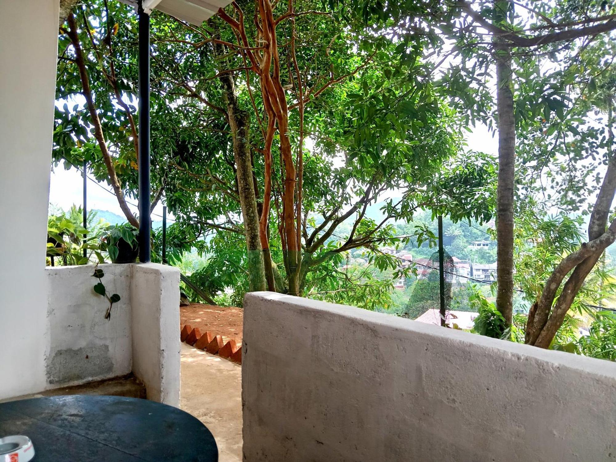 Homestay Fly Infinity -
