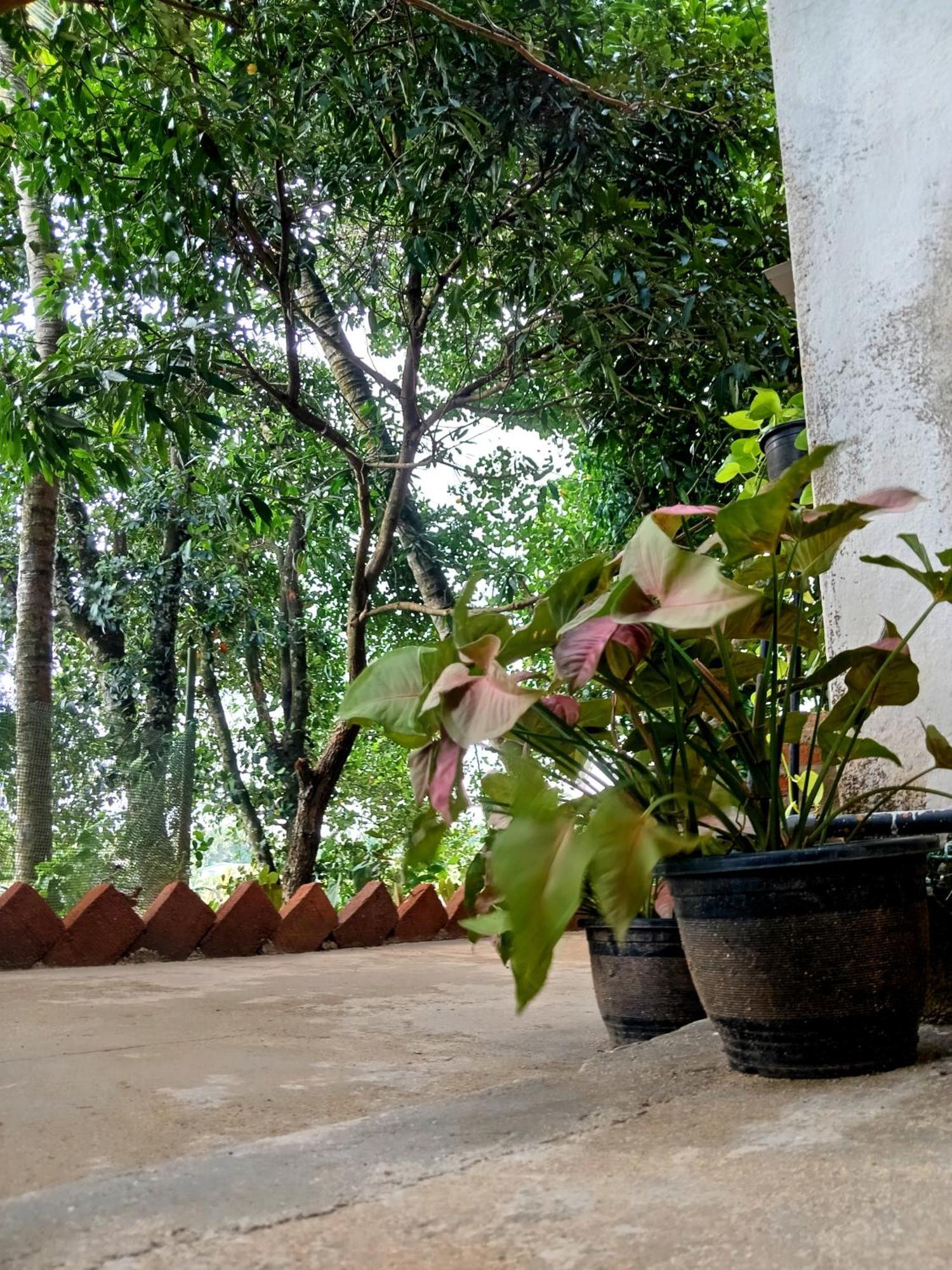 Fly Infinity - Homestay *