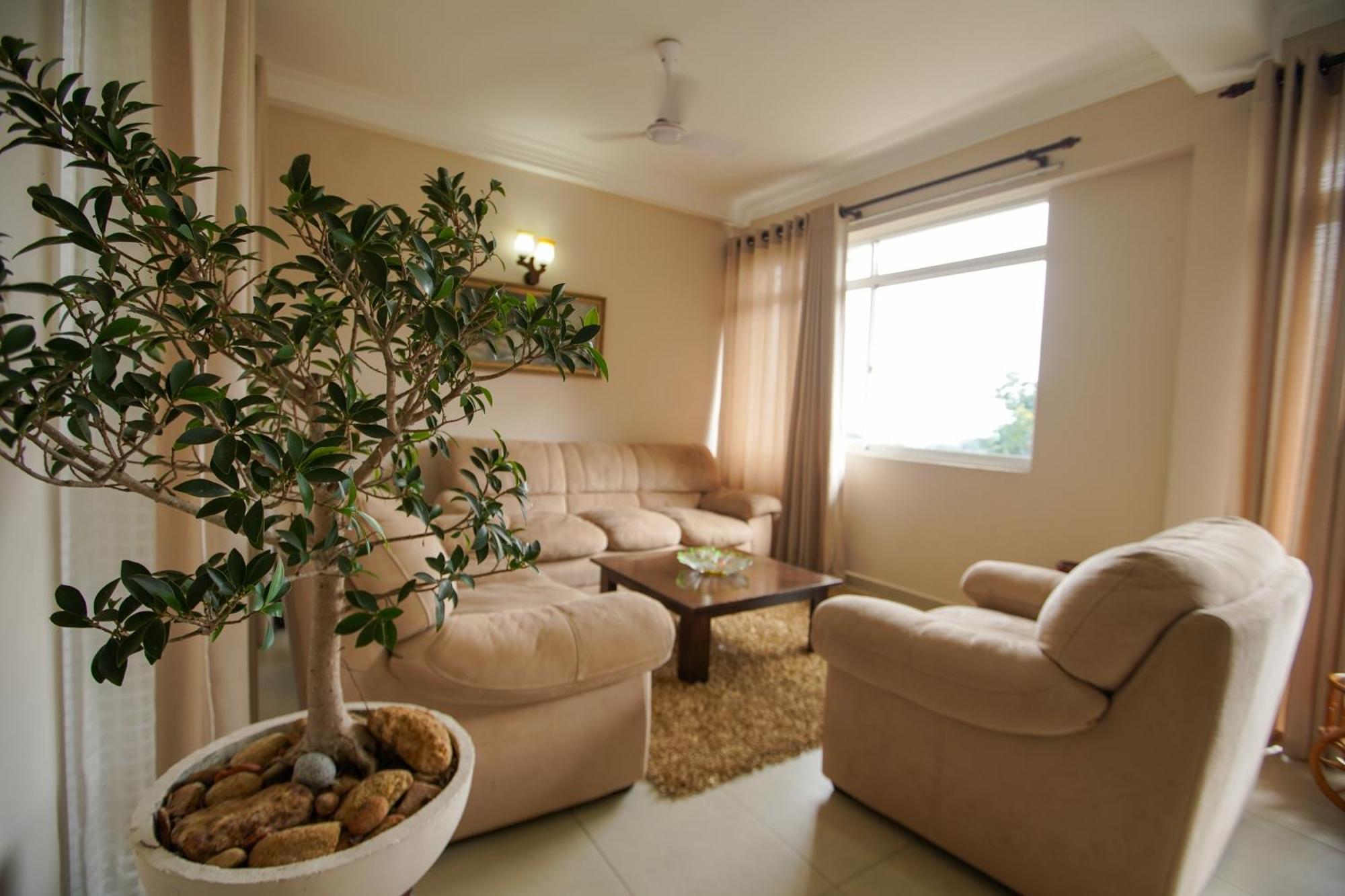 Homestay Lamondo *