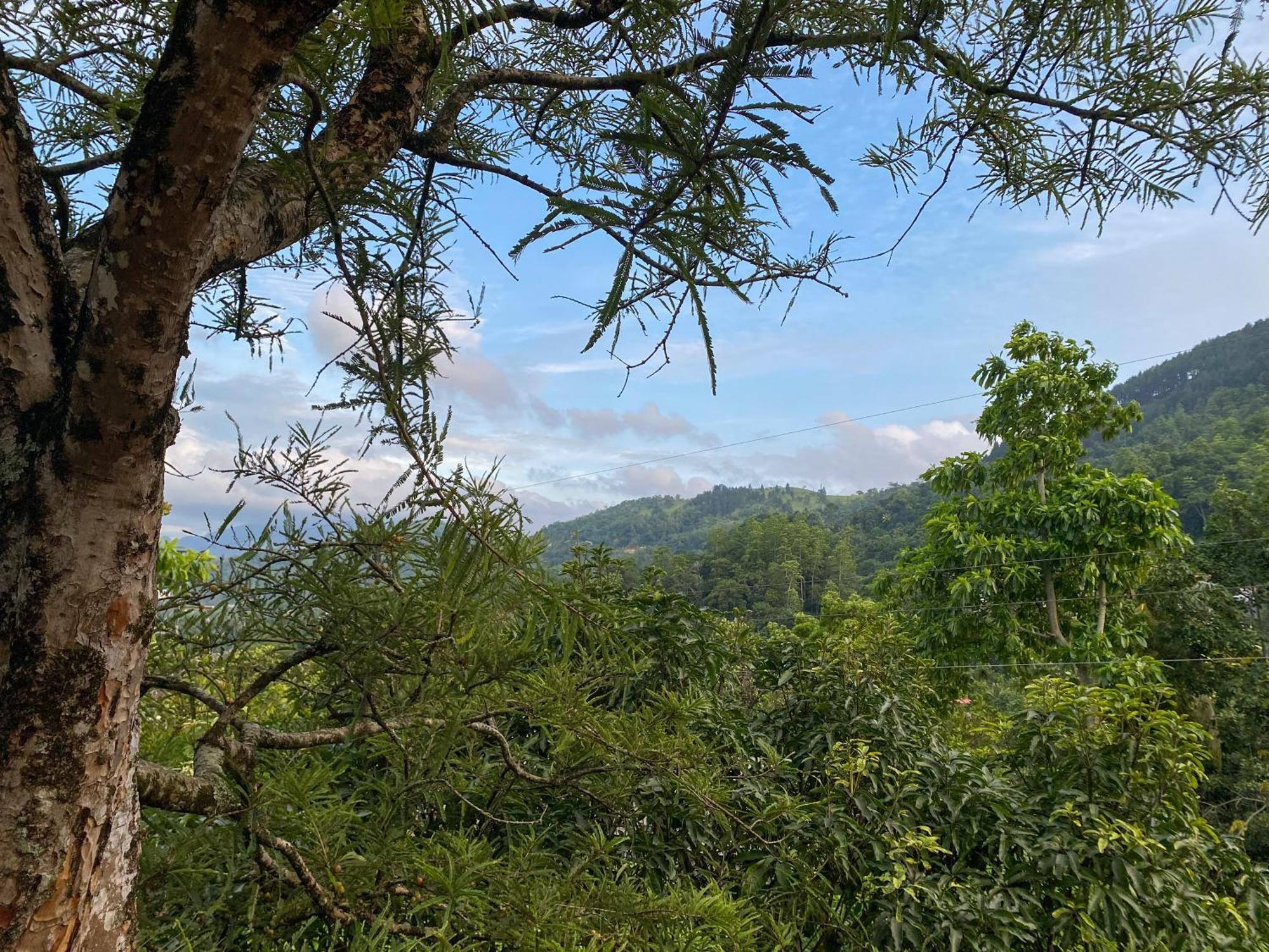 Apartment Hilltop Heaven Kandy
