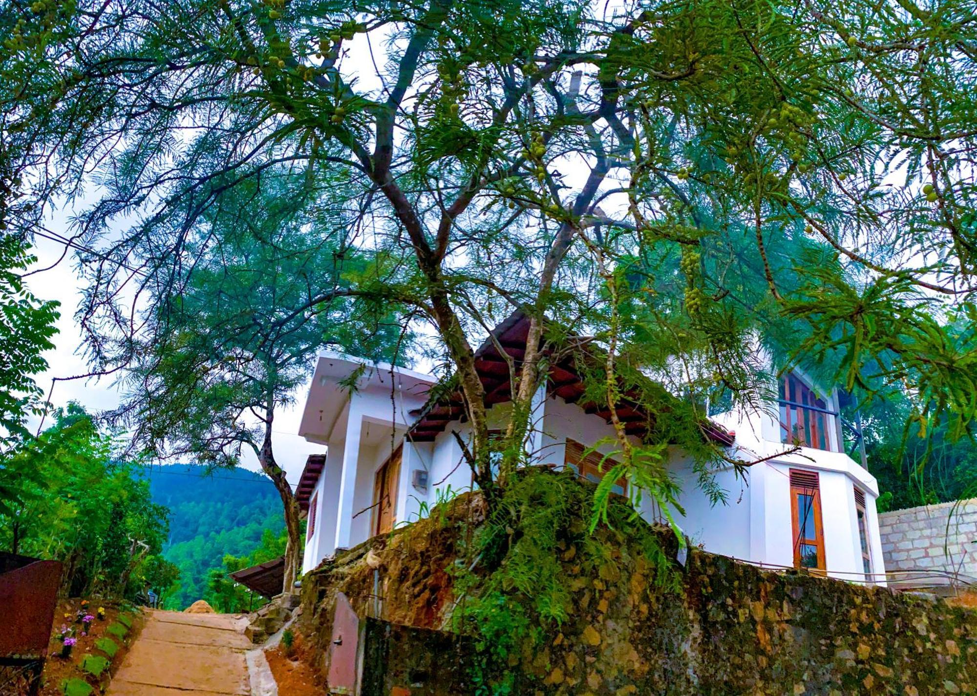 Hilltop Heaven Apartment *