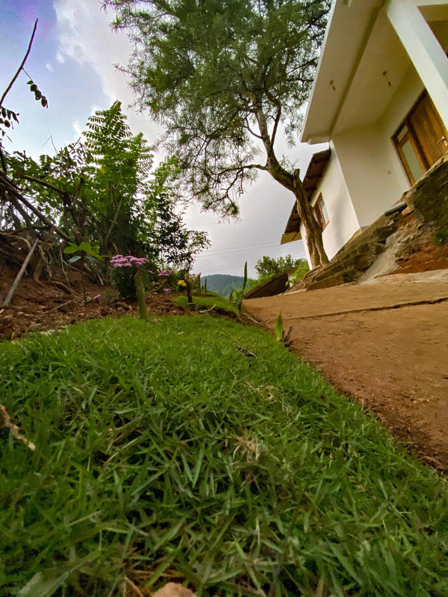 Hilltop Heaven *