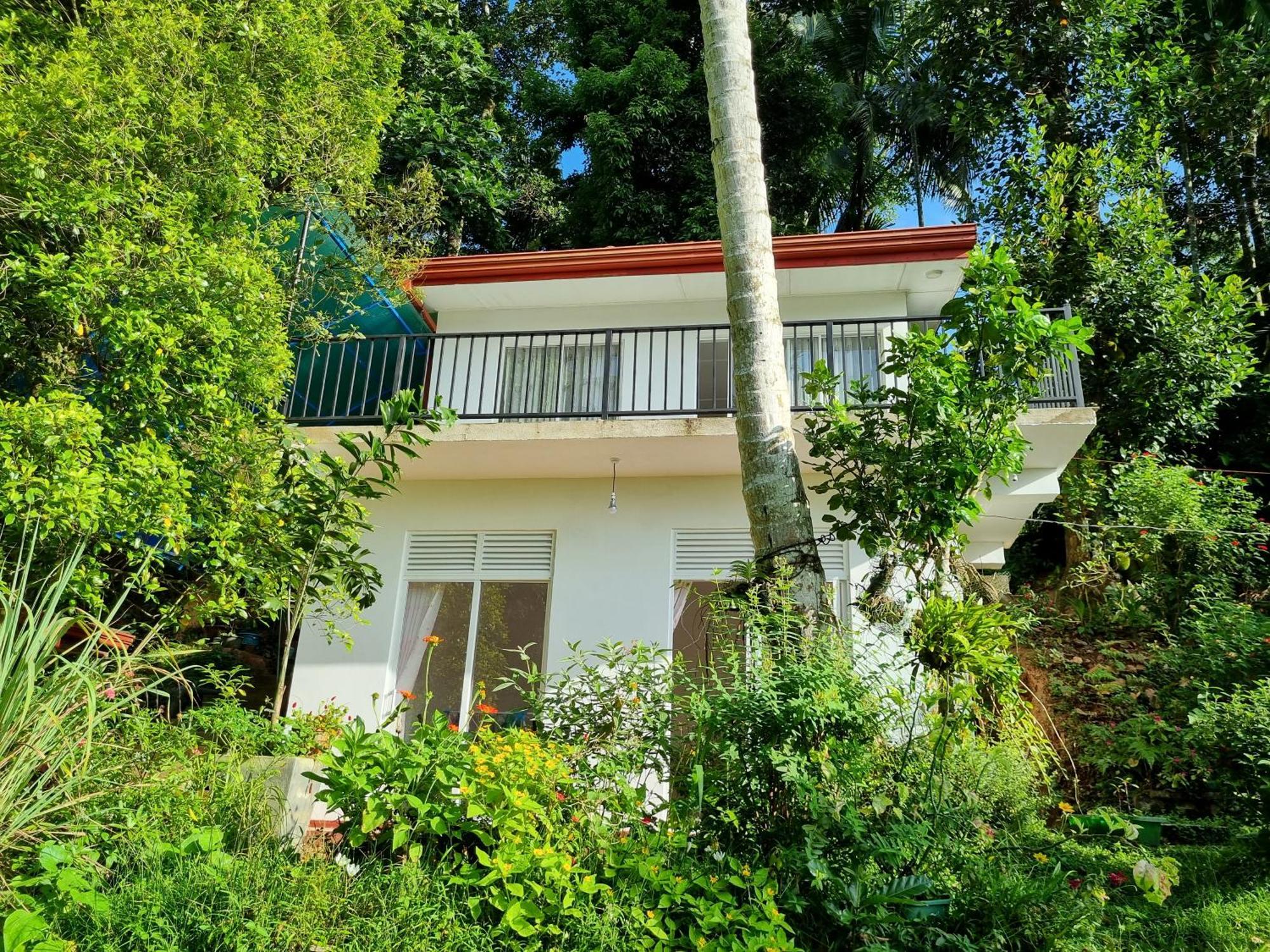 Inn Squirrel's Nest Kandy