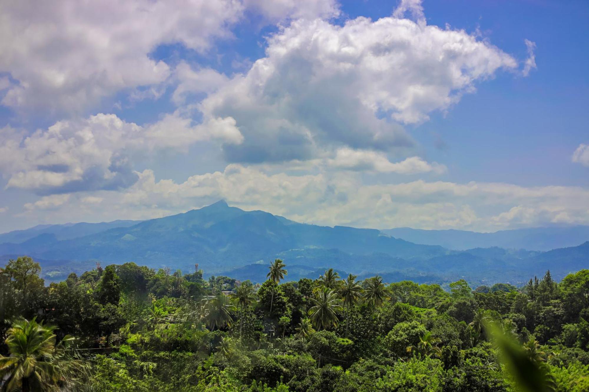 Cielo *