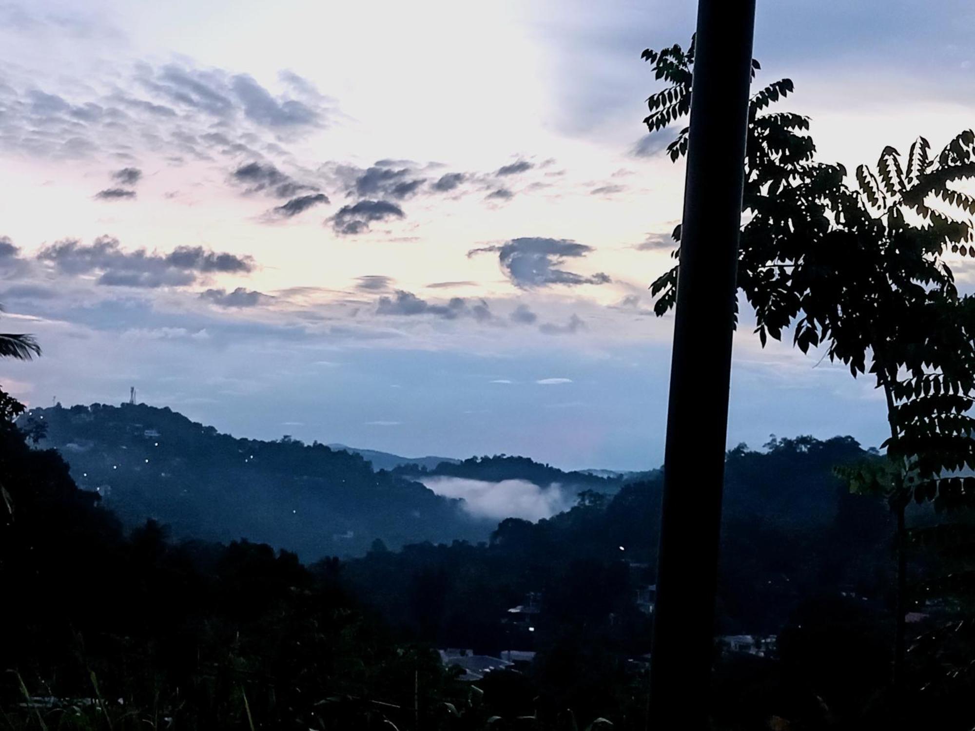 Homestay Fly Infinity - *