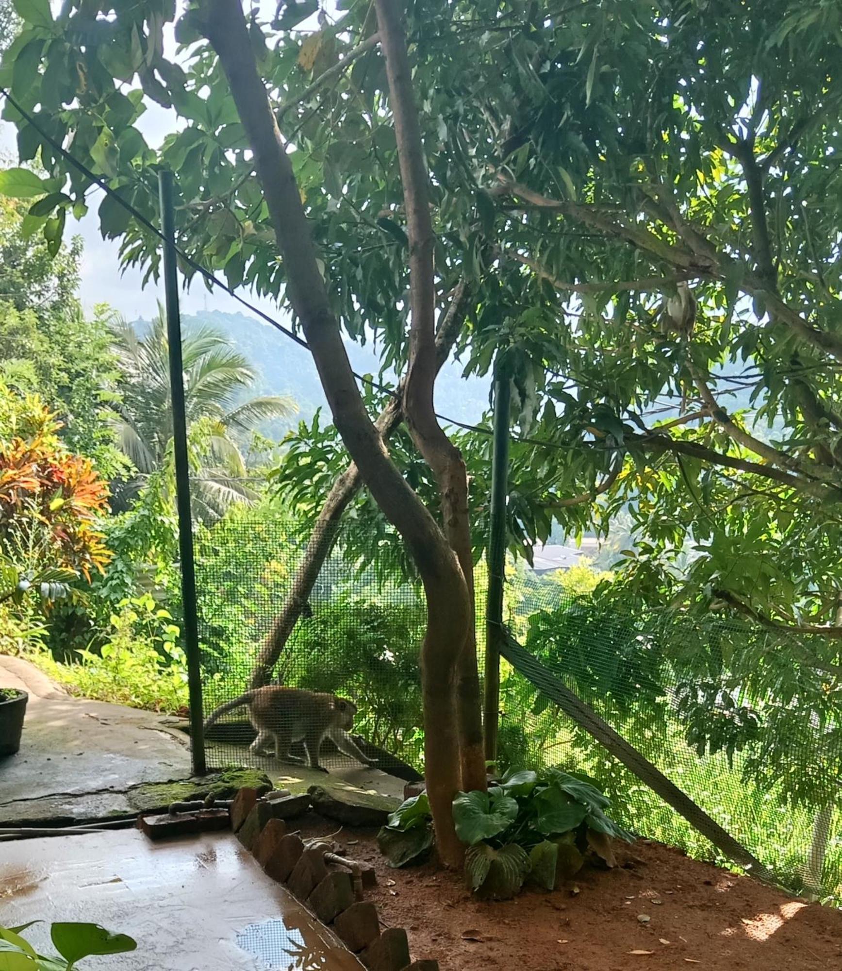 Homestay Fly Infinity -