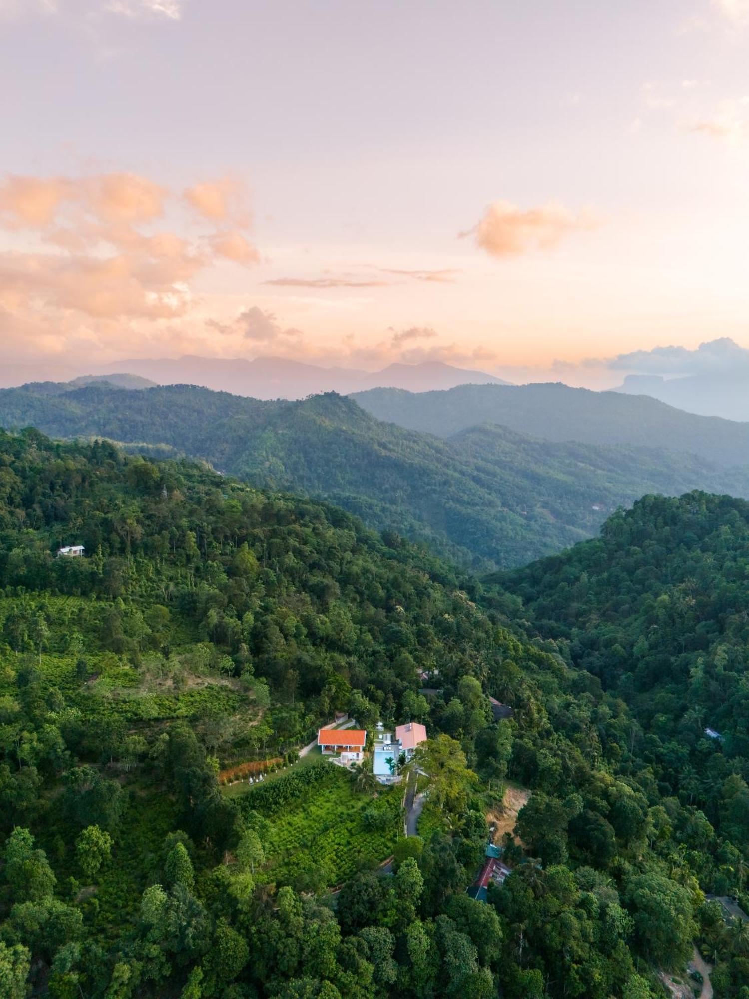 Tea Heights And Kandy
