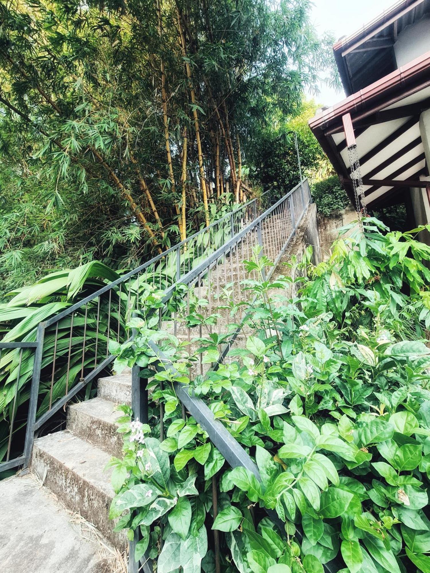Teirack Rosis Wish Apartment Kandy